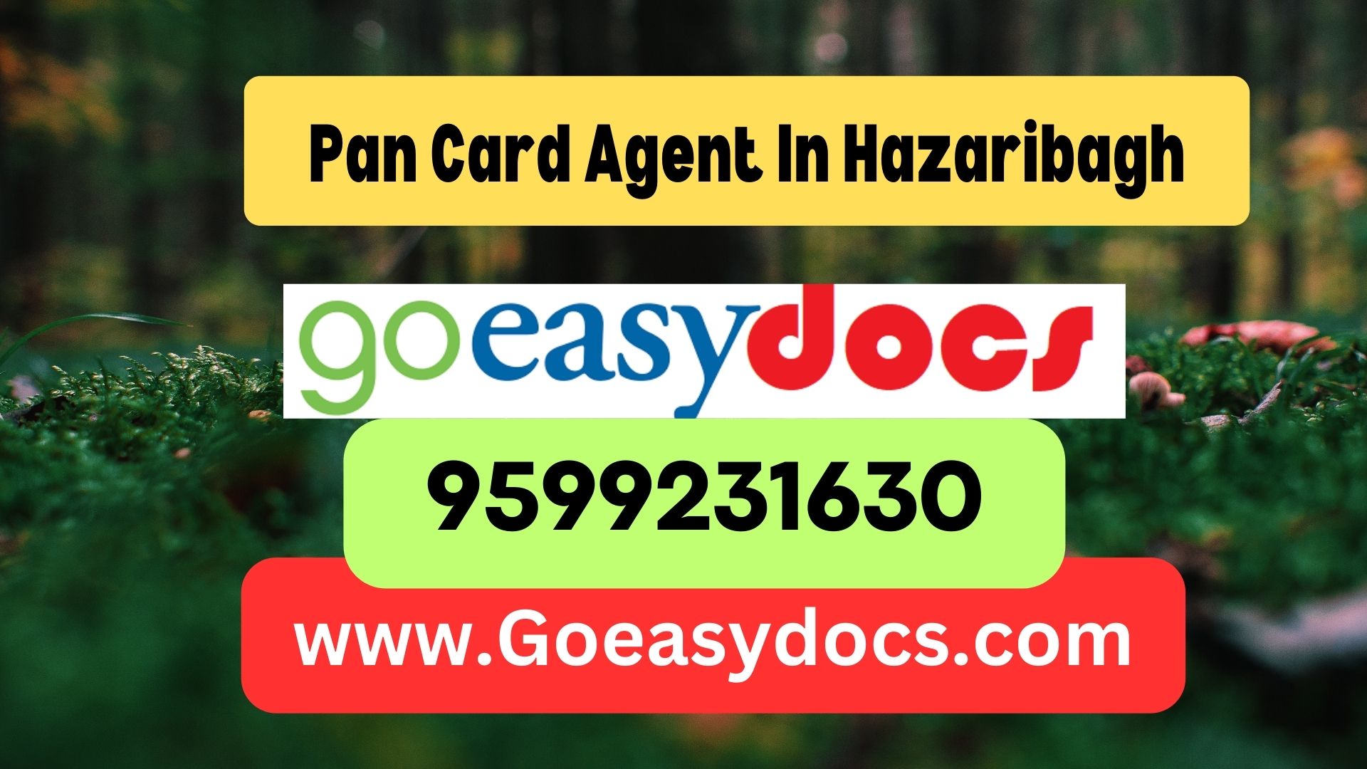 Pan Card Agent Consultant in Hazaribagh 8851415812