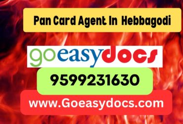 Pan Card Agent Consultant in Hebbagodi 8851415812