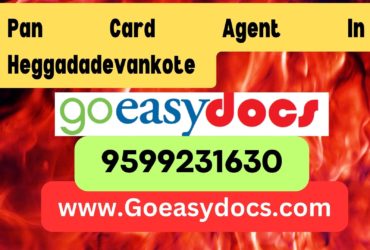 Pan Card Agent Consultant in Heggadadevankote 8851415812