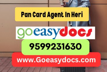 Pan Card Agent Consultant in Heri 8851415812