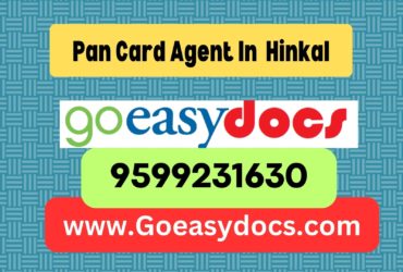 Pan Card Agent Consultant in Hinkal 8851415812