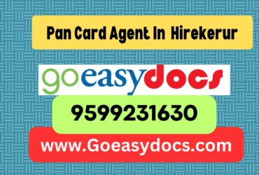 Pan Card Agent Consultant in Hirekerur 8851415812