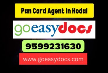 Pan Card Agent Consultant in Hodal 8851415812