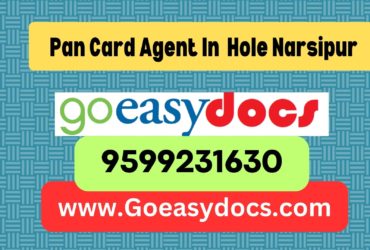 Pan Card Agent Consultant in Hole Narsipur 8851415812