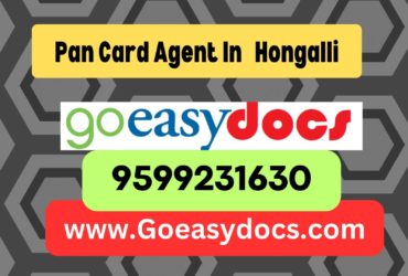 Pan Card Agent Consultant in Hongalli 8851415812