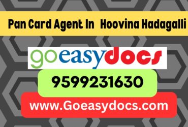 Pan Card Agent Consultant in Hoovina Hadagalli  8851415812