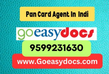 Pan Card Agent Consultant in Indi 8851415812