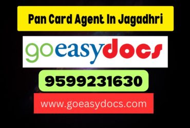 Pan Card Agent Consultant in Jagadhri 8851415812