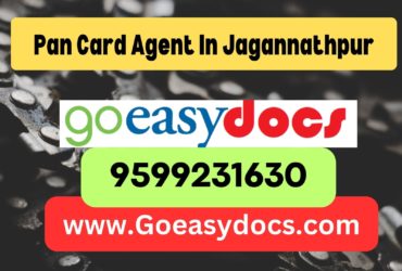 Pan Card Agent Consultant in Jagannathpur 8851415812