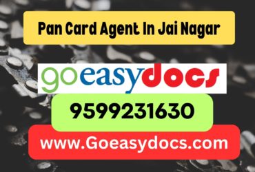 Pan Card Agent Consultant in Jai Nagar 8851415812