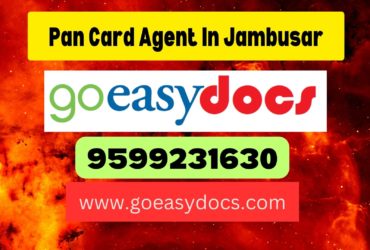 Pan Card Agent Consultant in Jambusar 8851415812