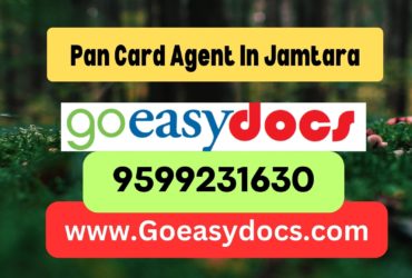 Pan Card Agent Consultant in Jamtara 8851415812