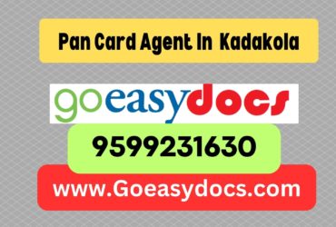 Pan Card Agent Consultant in Kadakola 8851415812