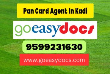 Pan Card Agent Consultant in Kadi 8851415812