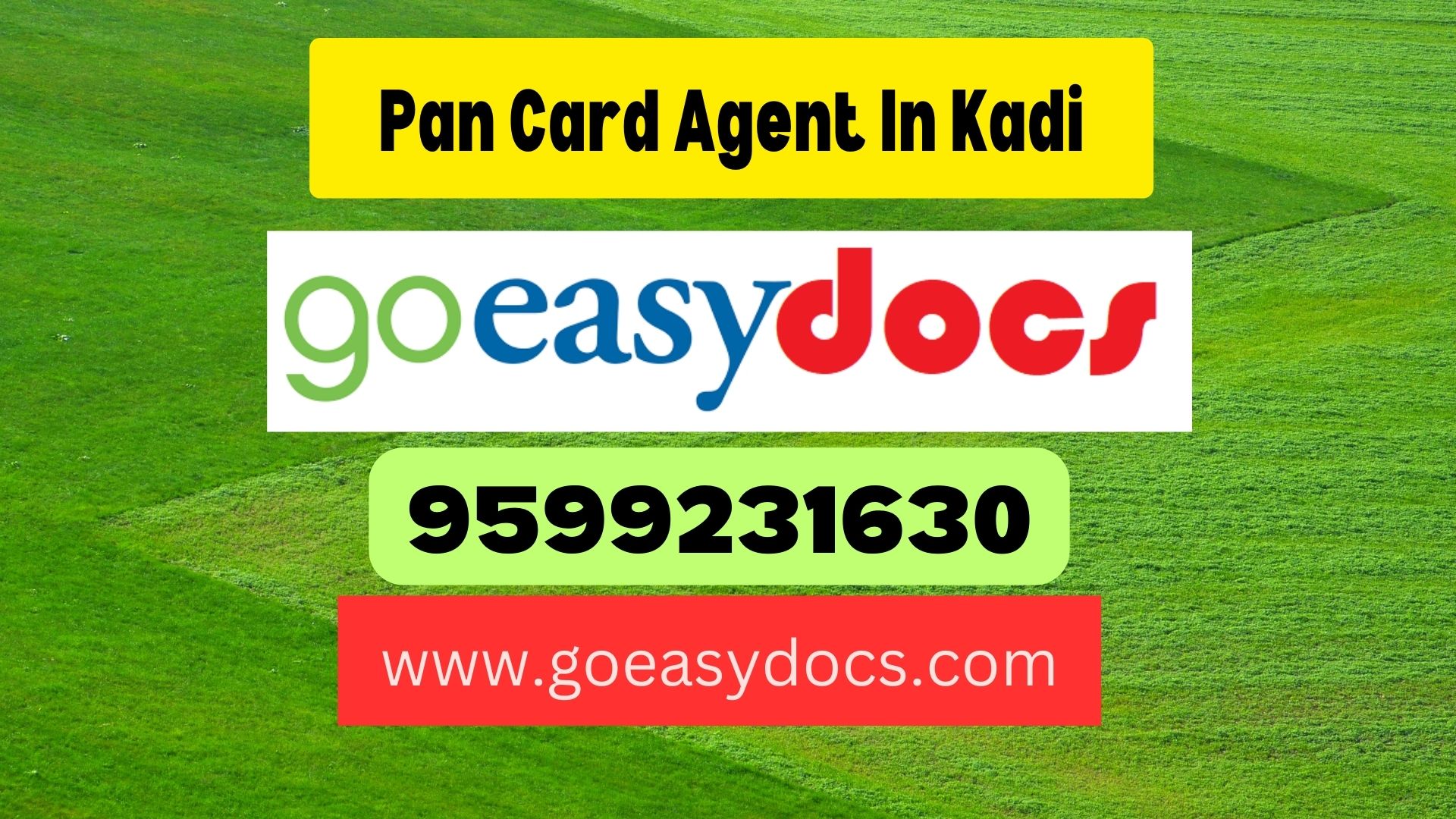 Pan Card Agent Consultant in Kadi 8851415812