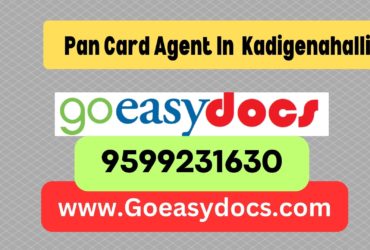 h1>Pan Card Agent Consultant in Kadigenahalli 8851415812