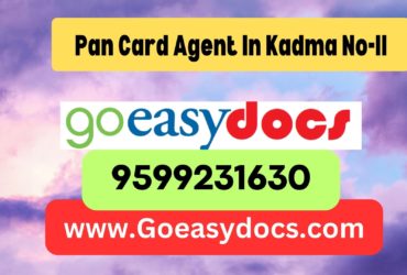 Pan Card Agent Consultant in Kadma No-II 8851415812