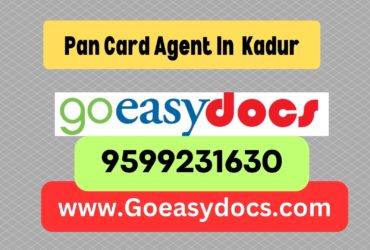 Pan Card Agent Consultant in Kadur 8851415812