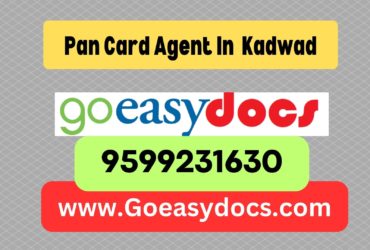 Pan Card Agent Consultant in Kadwad 8851415812