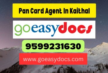 Pan Card Agent Consultant in Kaithal 8851415812