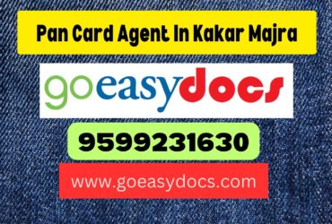 Pan Card Agent Consultant in Kakar Majra 8851415812