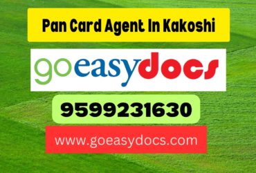 Pan Card Agent Consultant in Kakoshi 8851415812