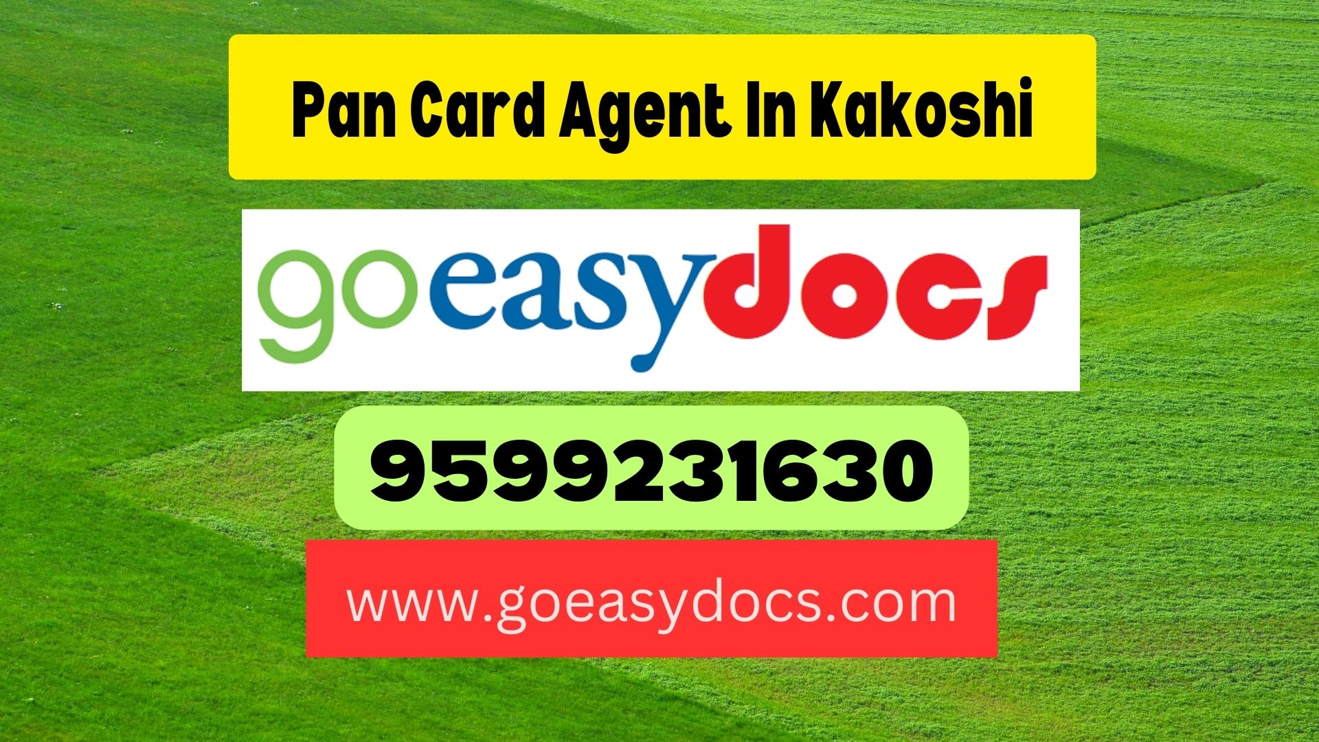 Pan Card Agent Consultant in Kakoshi 8851415812