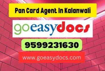 Pan Card Agent Consultant in Kalanwali 8851415812