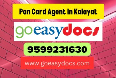 Pan Card Agent Consultant in Kalayat 8851415812