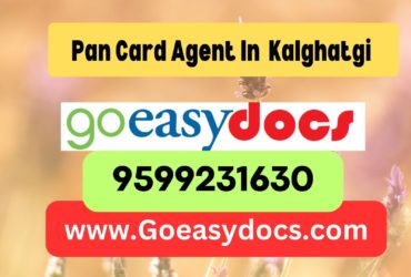 Pan Card Agent Consultant in Kalghatgi  8851415812