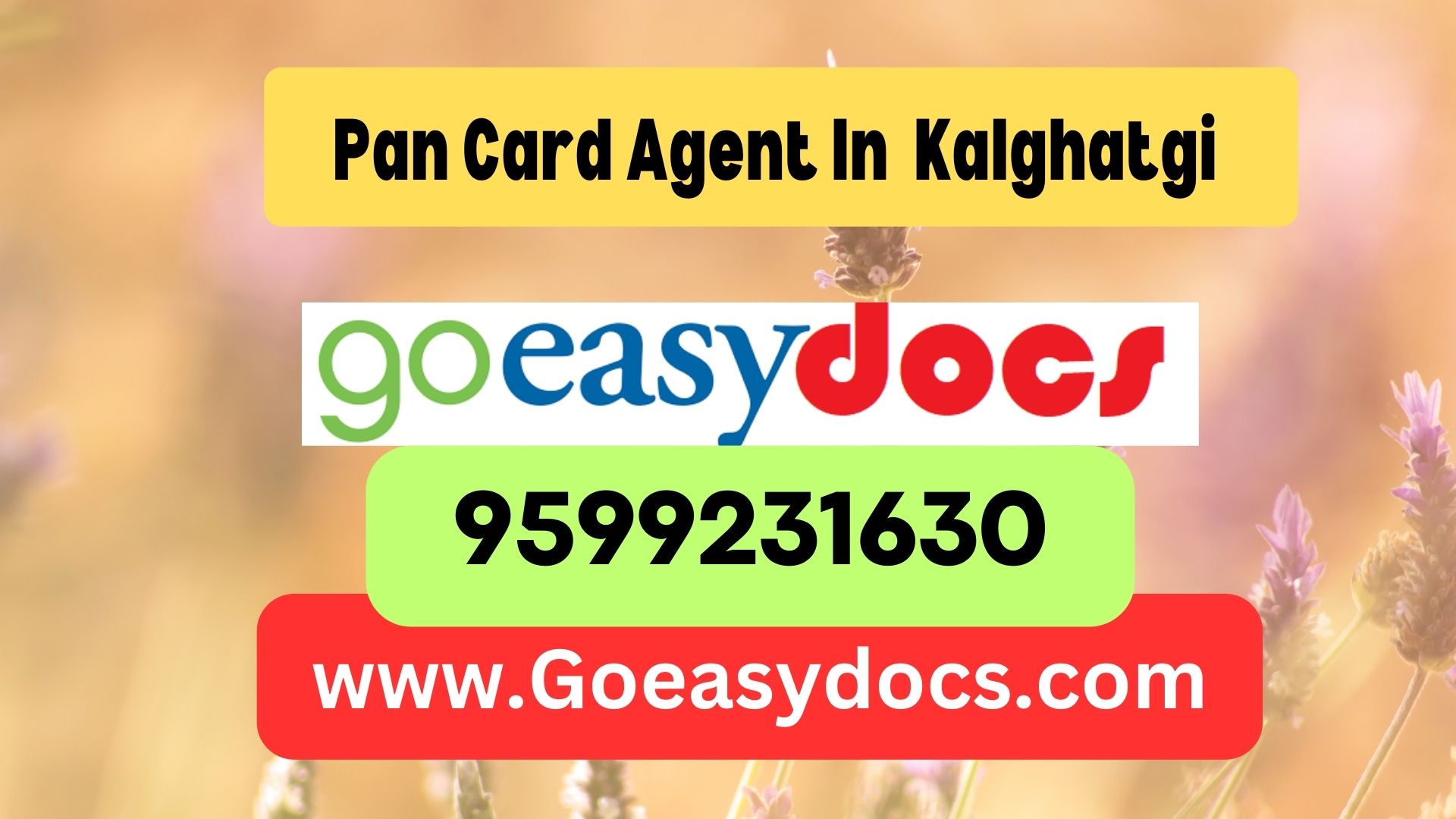 Pan Card Agent Consultant in Kalghatgi  8851415812