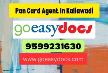 Pan Card Agent Consultant in Kaliawadi 8851415812