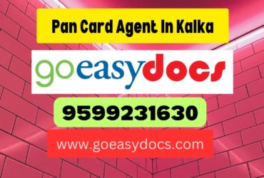 Pan Card Agent Consultant in Kalka 8851415812