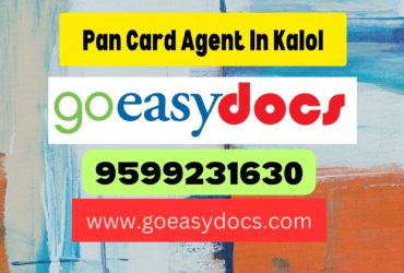 Pan Card Agent Consultant in Kalol 8851415812