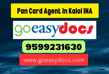 Pan Card Agent Consultant in Kalol INA 8851415812