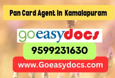 Pan Card Agent Consultant in Kamalapuram  8851415812