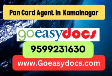 Pan Card Agent Consultant in Kamalnagar 8851415812