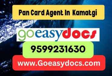 Pan Card Agent Consultant in Kamatgi  8851415812