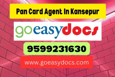 Pan Card Agent Consultant in Kansepur 8851415812