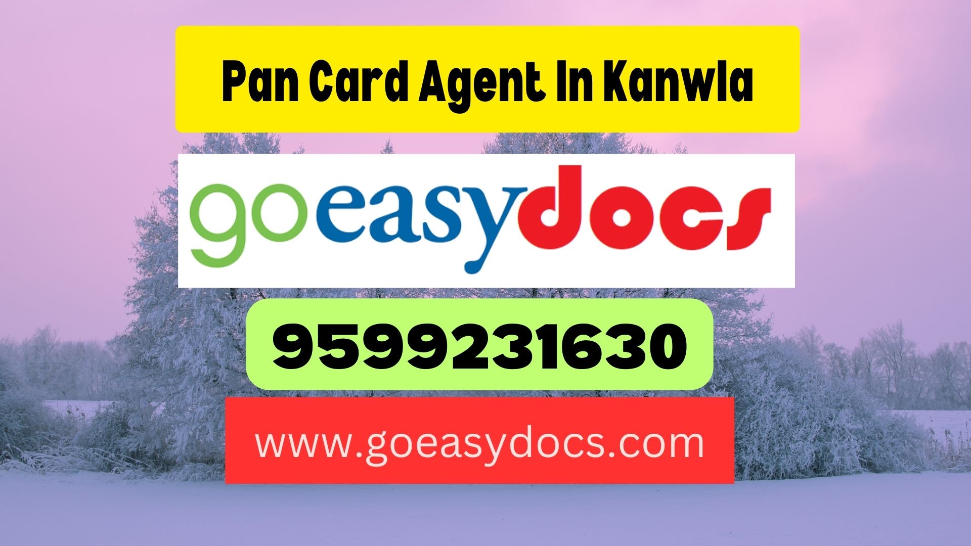 Pan Card Agent Consultant in Kanwla 8851415812