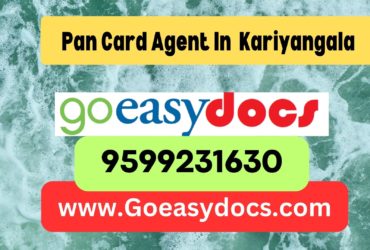 h1>Pan Card Agent Consultant in Kariyangala 8851415812