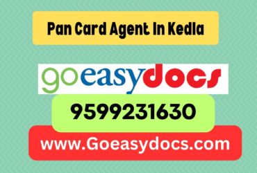 Pan Card Agent Consultant in Kedla 8851415812