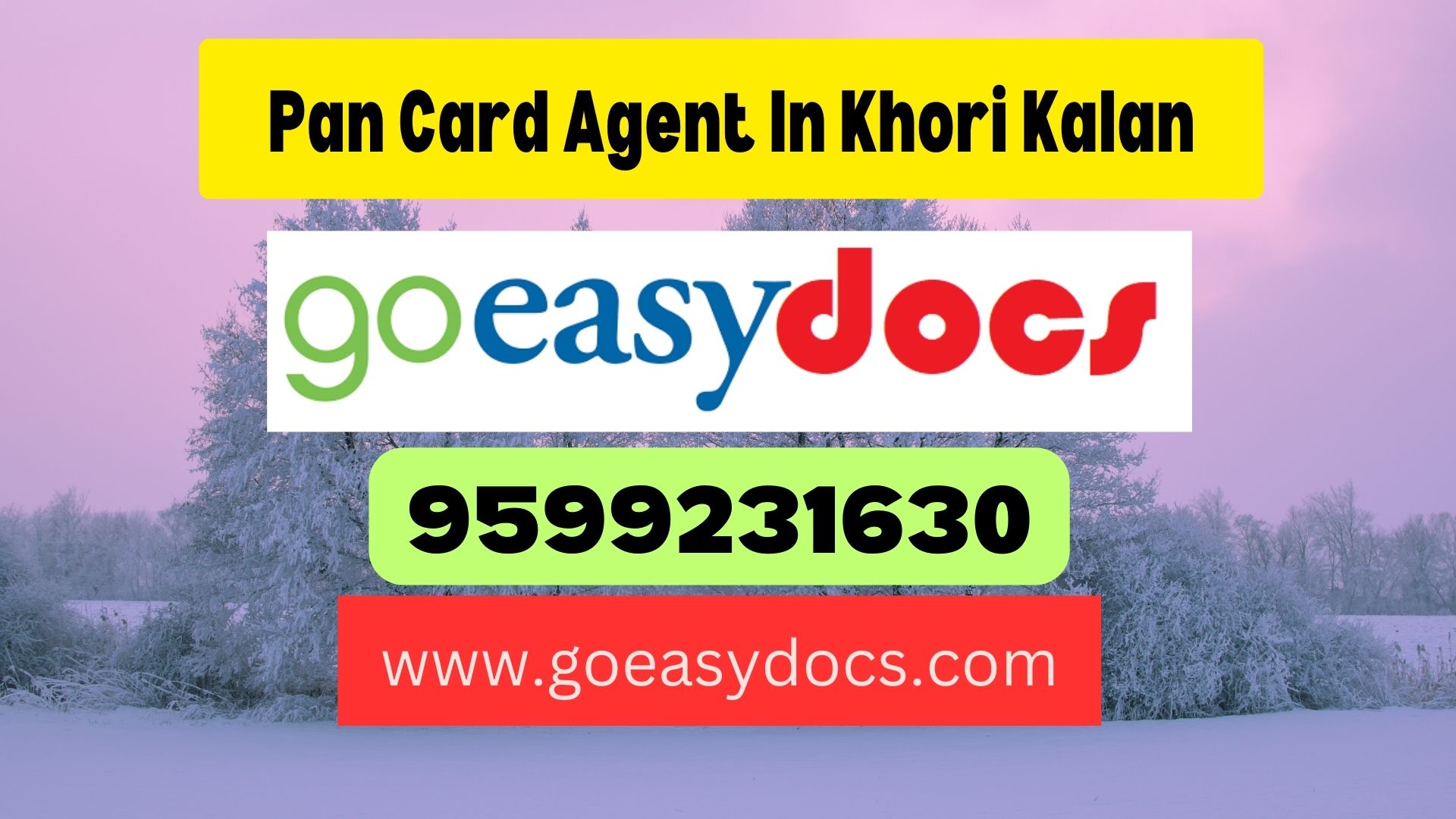 Pan Card Agent Consultant in Khori Kalan 8851415812