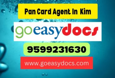 Pan Card Agent Consultant in Kim 8851415812