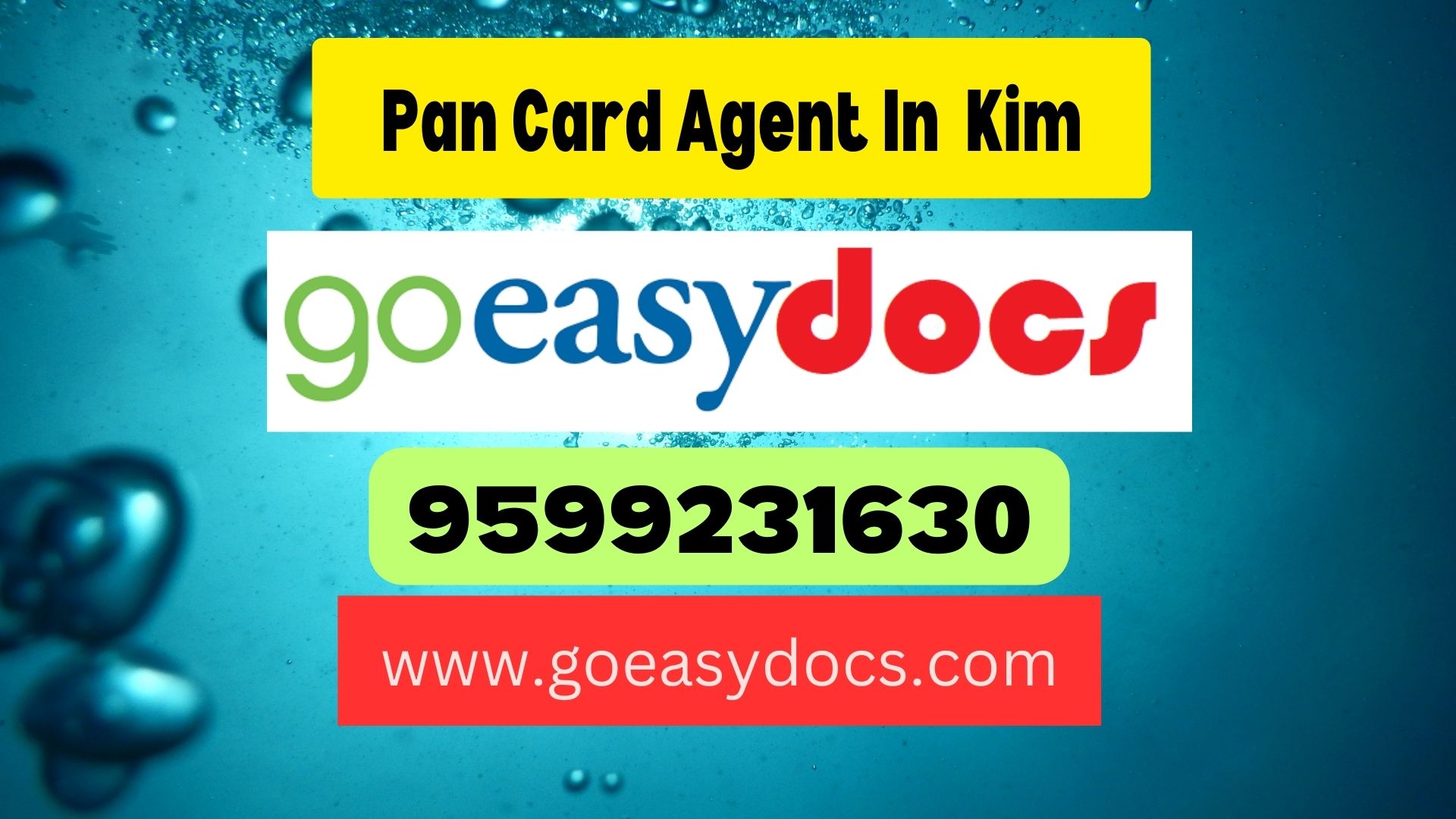 Pan Card Agent Consultant in Kim 8851415812