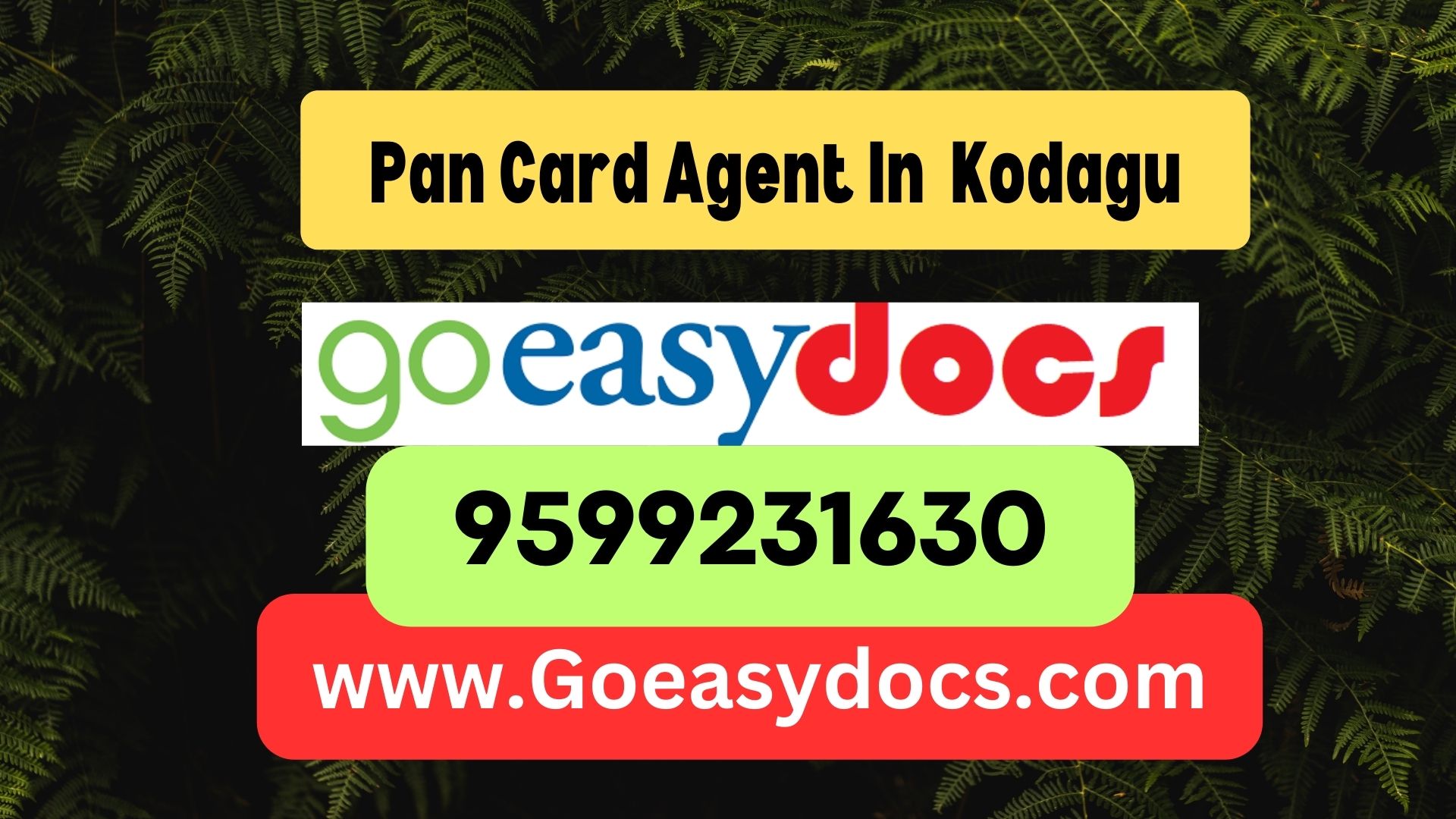 Pan Card Agent Consultant in Kodagu 8851415812