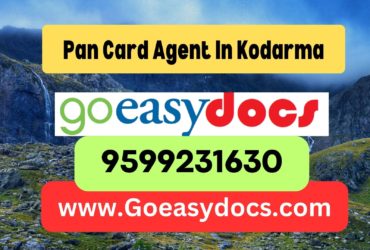 Pan Card Agent Consultant in Kodarma (Koderma) 8851415812