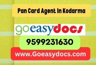 Pan Card Agent Consultant in Kodarma 8851415812