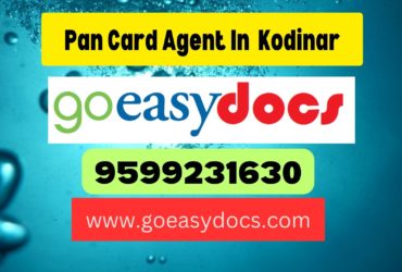 Pan Card Agent Consultant in Kodinar 8851415812