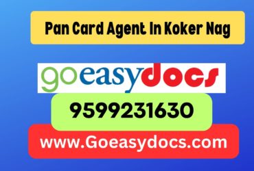 Pan Card Agent Consultant in Koker Nag 8851415812